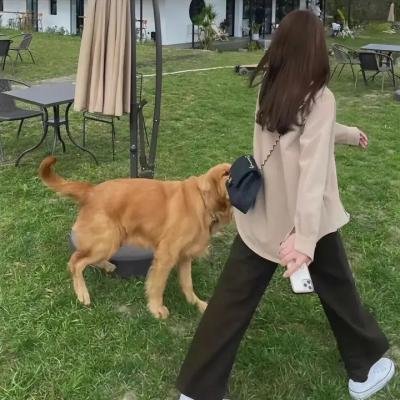 重案六组3 海报